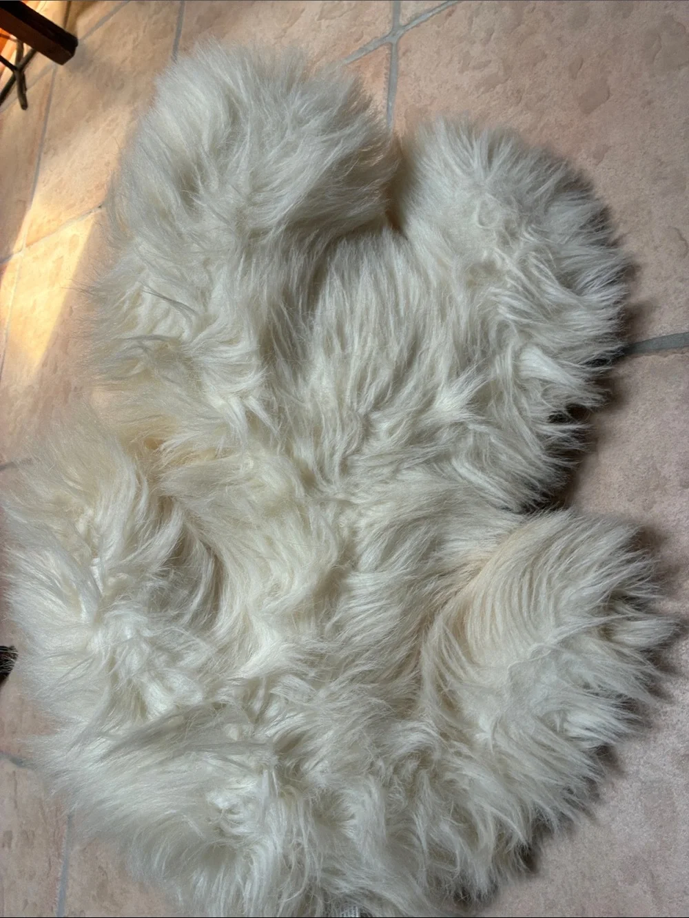 Kellytoy Cream Plush Long-Fur Persian Cat with Brown Nose